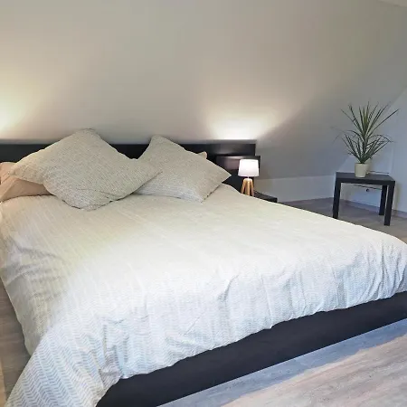 Le 128, Duplex Alsacien 10 Personnes, Piscine Horbourg