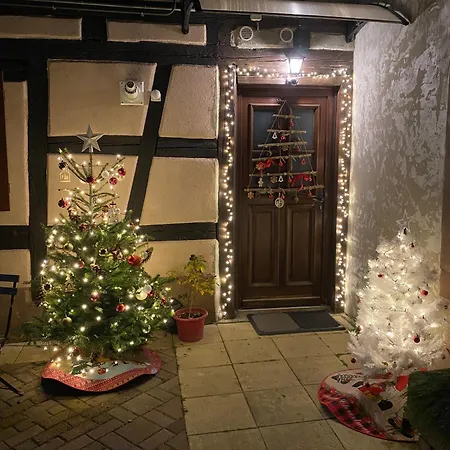 Le 128, Duplex Alsacien 10 Personnes, Piscine