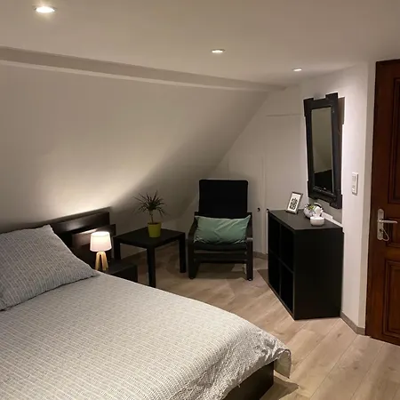 Le 128, Duplex Alsacien 10 Personnes, Piscine * Horbourg